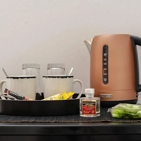 Hotel apartamentowy Naxosair2 Naxos City