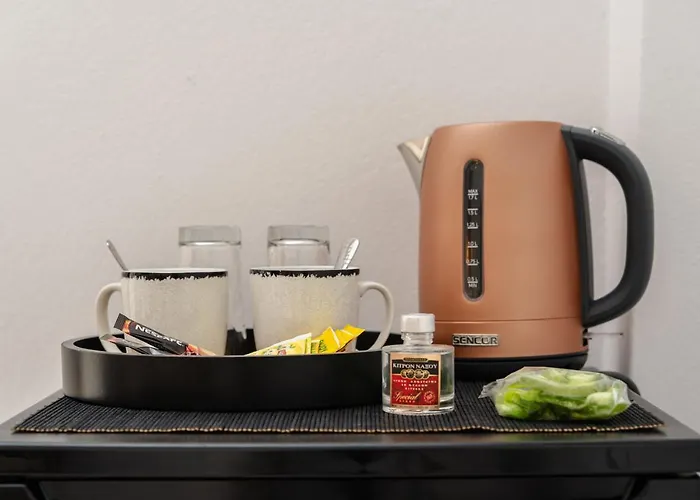 アパートホテル Naxosair2 Naxos City